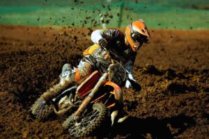 david philippaerts