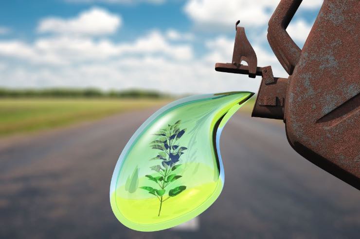Biocarburanti biofuel diesel novità