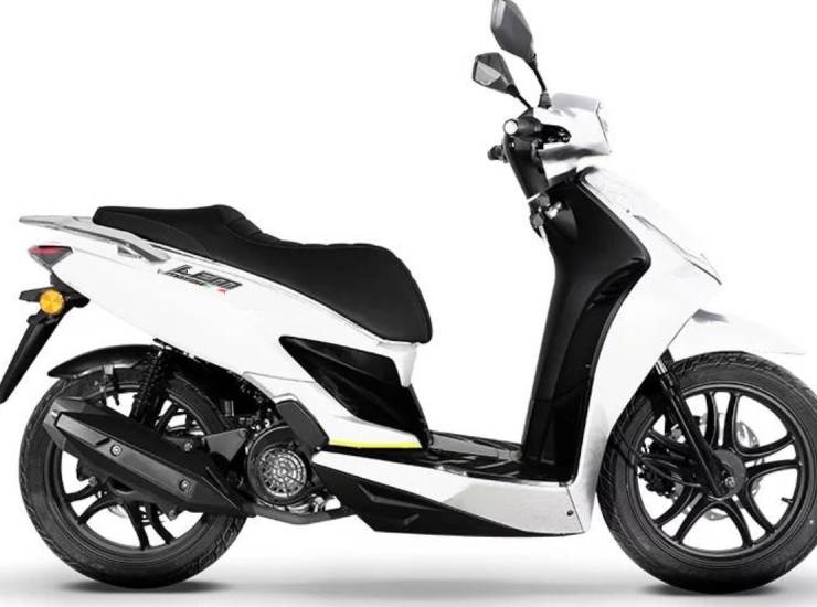 lem coral 125