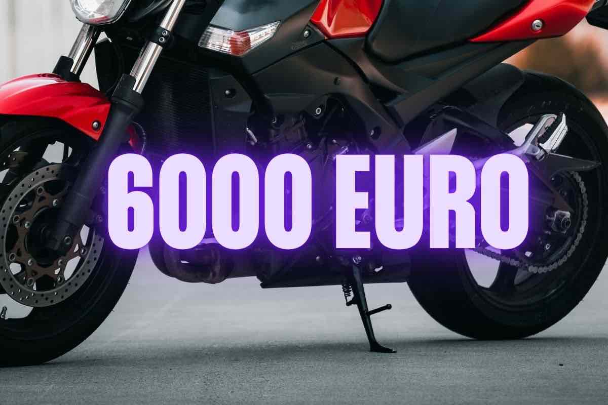 Voge Brivido 625R moto