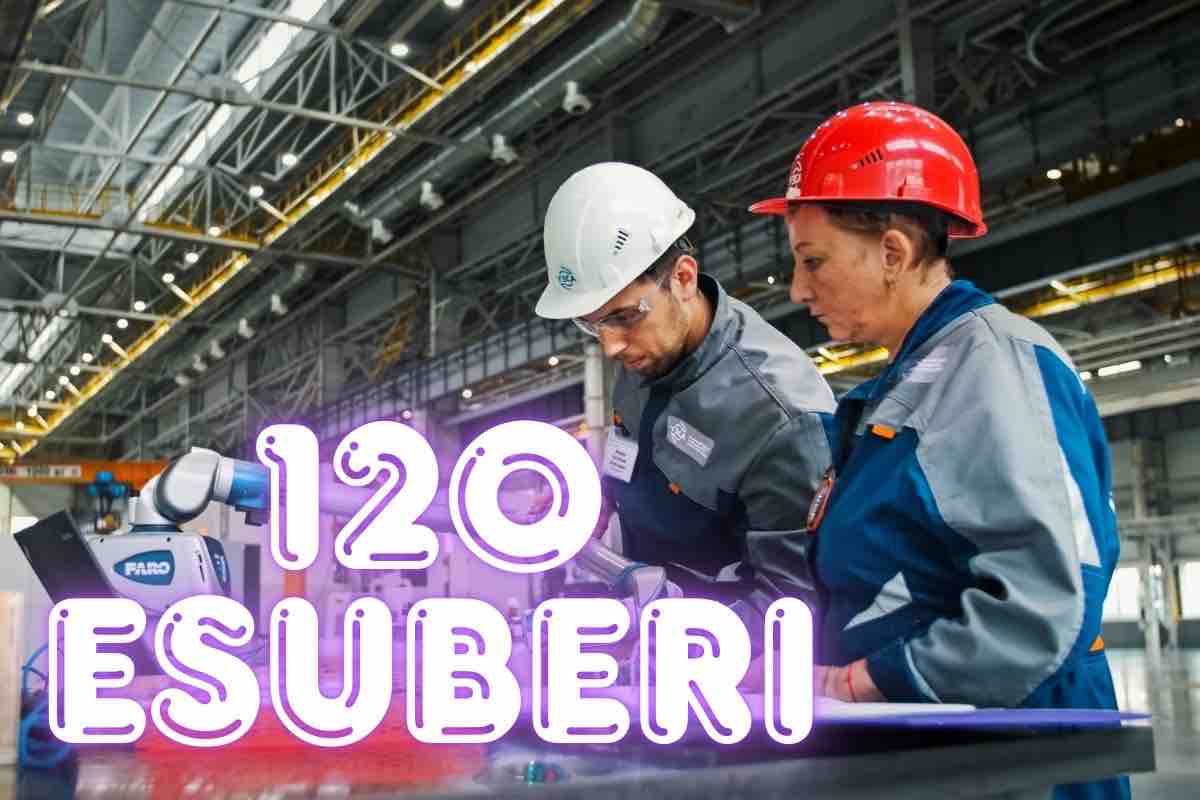 licenziamenti campagnolo bicicletta